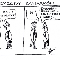 kanarki_1