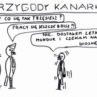 kanarki_20