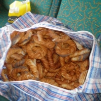 2008-06-07 - Lednica