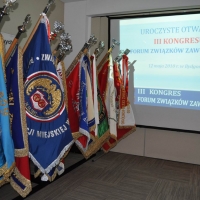 2010-05-12-14 - III Kongres FZZ