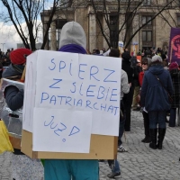 2011-03-06-manifa_warszawska